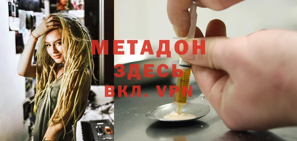 ПСИЛОЦИБИНОВЫЕ ГРИБЫ Новозыбков