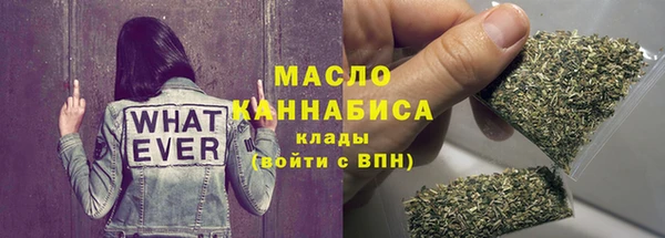 ПСИЛОЦИБИНОВЫЕ ГРИБЫ Новозыбков