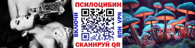 Псилоцибиновые грибы Psilocybine cubensis блэк спрут сайт Кисловодск