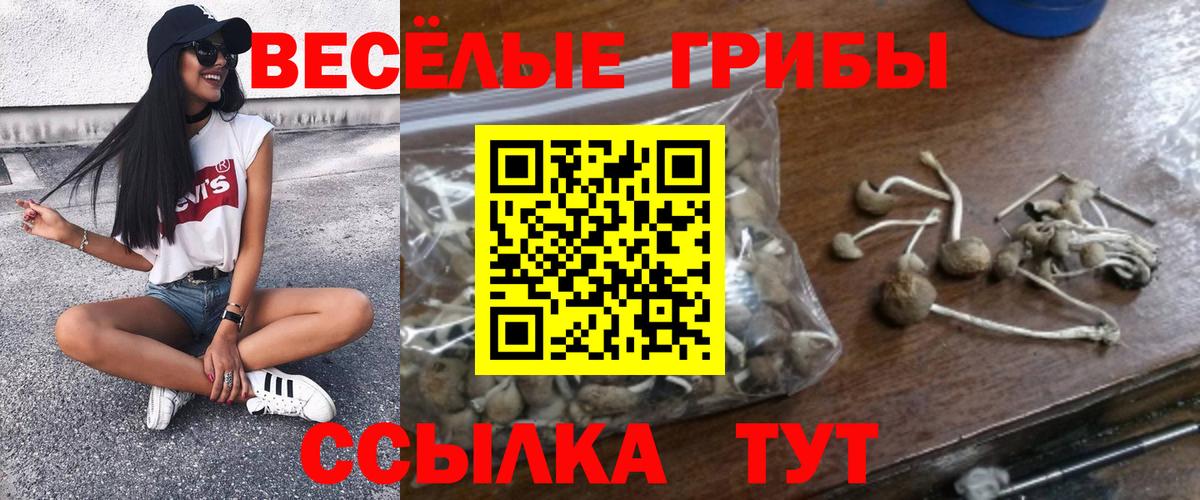 Псилоцибиновые грибы мухоморы  Вход с VPN  Кисловодск 